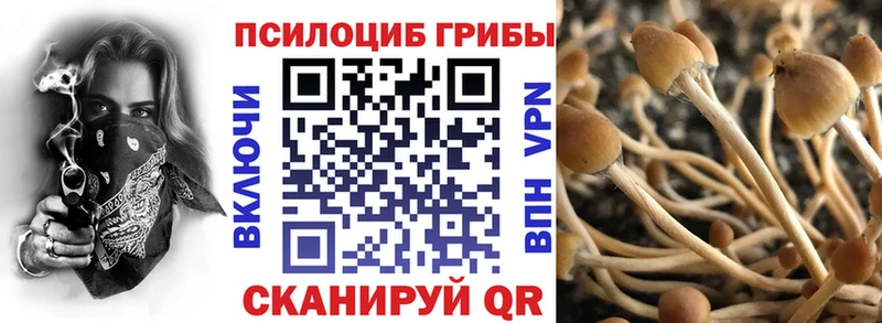 купить закладку  Миллерово  mega ССЫЛКА  Псилоцибиновые грибы мицелий 